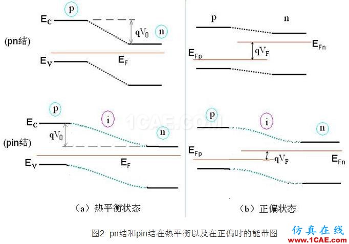 PIN結(jié)與PN結(jié)的特性比較 - 學(xué)習(xí) - 學(xué)習(xí)、學(xué)習(xí)、再學(xué)習(xí)